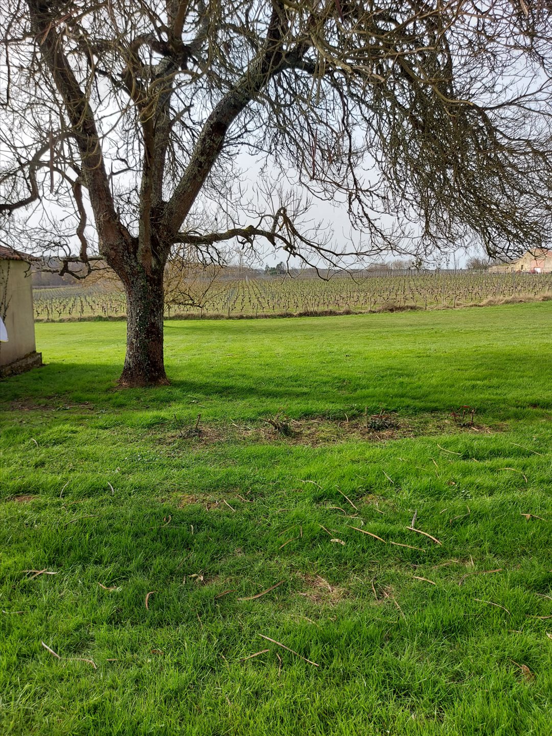 Maison à vendre, 151m², Sauveterre-de-Guyenne