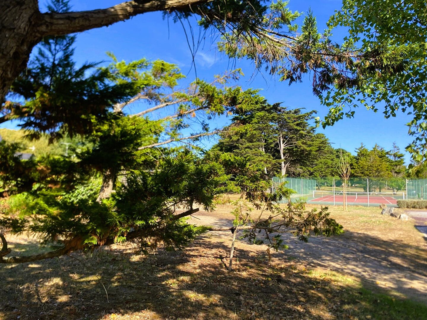 Maison à vendre, 24m², Batz-sur-Mer