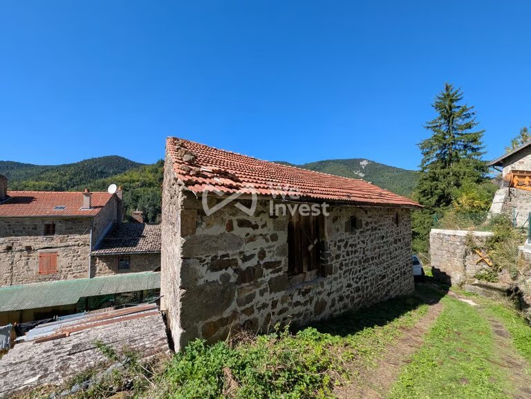 Maison à vendre, 120m², Saint-Julien-Vocance