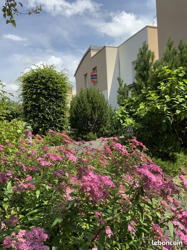 Appartement à louer, 23m², Vire