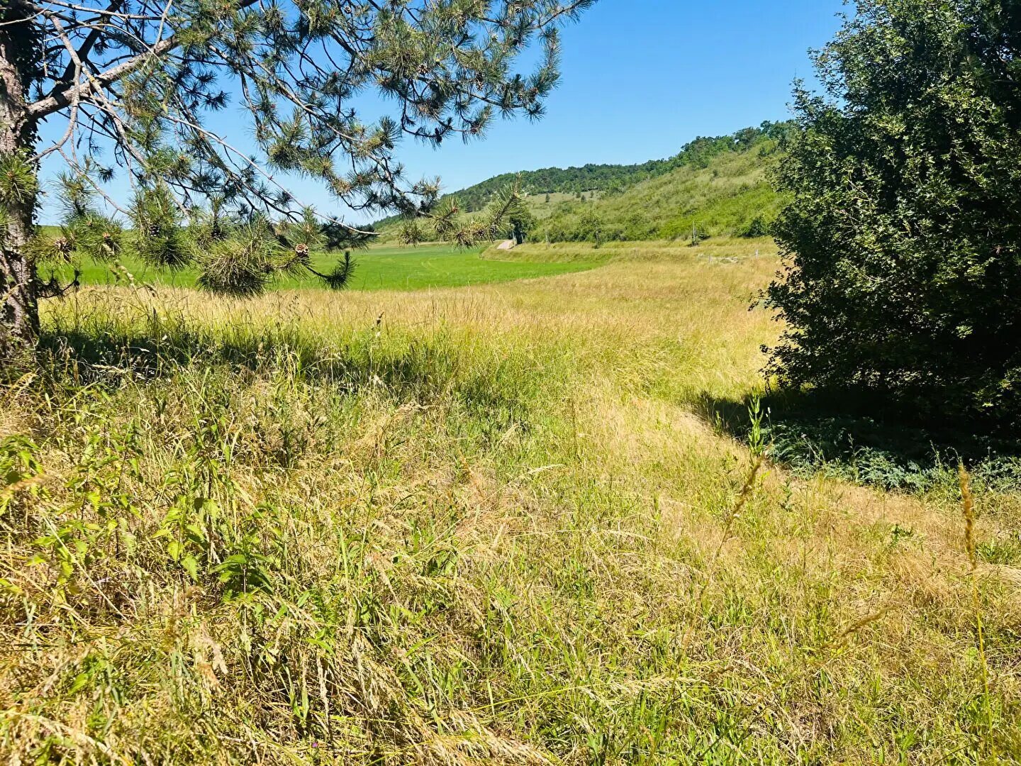Maison à vendre, 223m², Joux-la-Ville