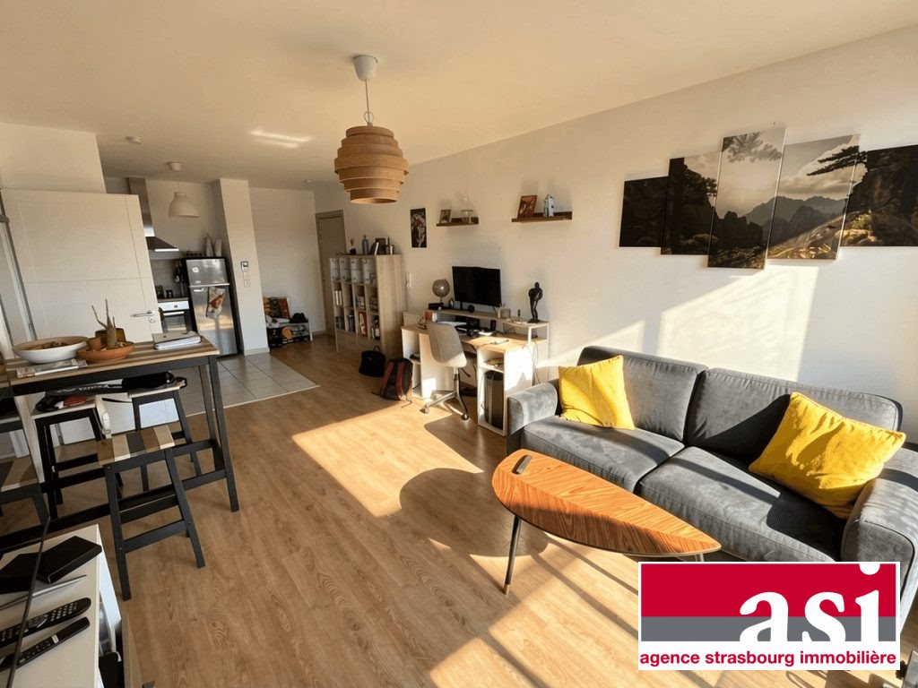 Appartement à vendre, 50m², Strasbourg