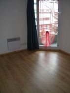 Appartement à louer, 20m², Lyon 8ème