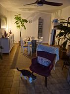 Appartement à louer, 72m², Nérac