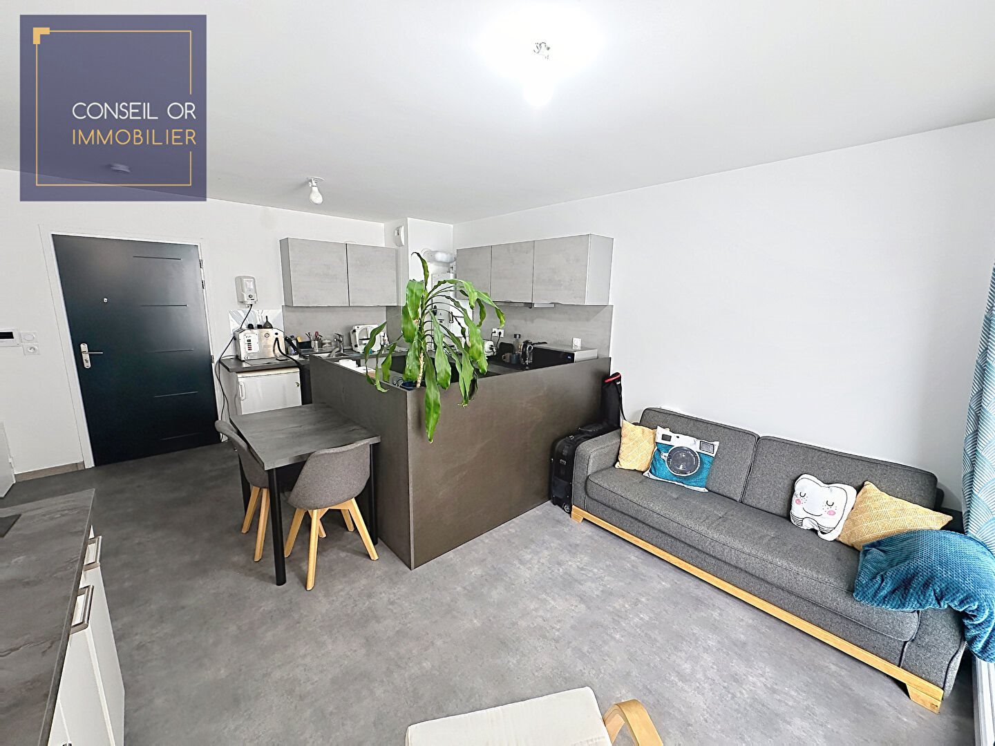 Appartement à vendre, 21m², Craponne