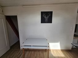 Appartement à louer, 25m², Saint-Etienne