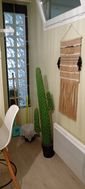 Appartement à louer, 27m², Béthune