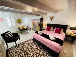 Appartement à louer, 24m², Antibes