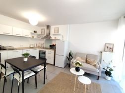Appartement à louer, 42m², Annemasse