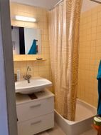 Appartement à louer, 34m², Wattignies