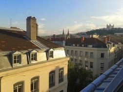Appartement à louer, 37m², Lyon 1er