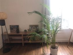 Appartement à louer, 35m², Vincennes