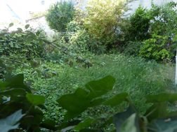 Appartement à louer, 40m², Choisy-le-Roi