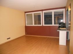 Appartement à louer, 53m², Bron