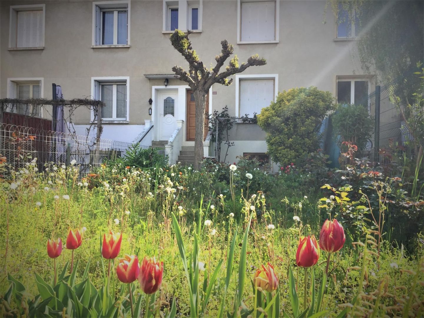 Maison à vendre, 17m², Clérieux