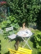 Appartement à louer, 41m², Plérin
