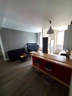 Appartement à louer, 48m², Saint-Etienne