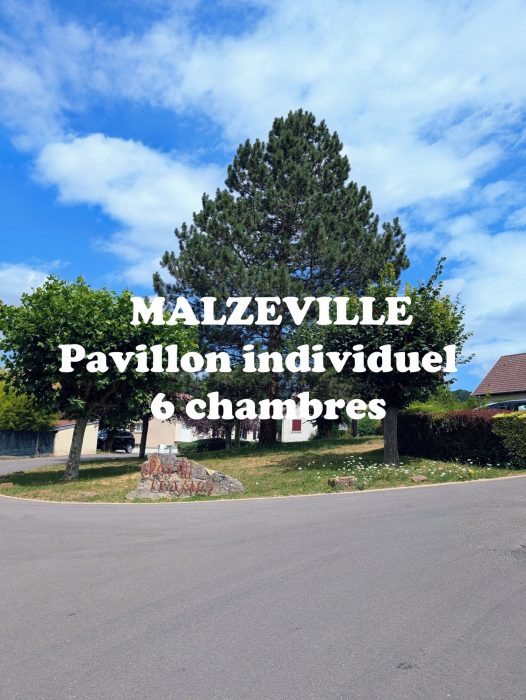 Maison à vendre, 168m², Malzéville