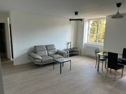 Appartement à louer, 50m², Saint-Étienne