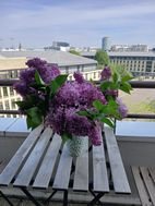 Appartement à louer, 22m², Issy-les-Moulineaux