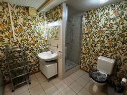 Appartement à louer, 40m², Challex