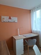 Appartement à louer, 25m², Limoges