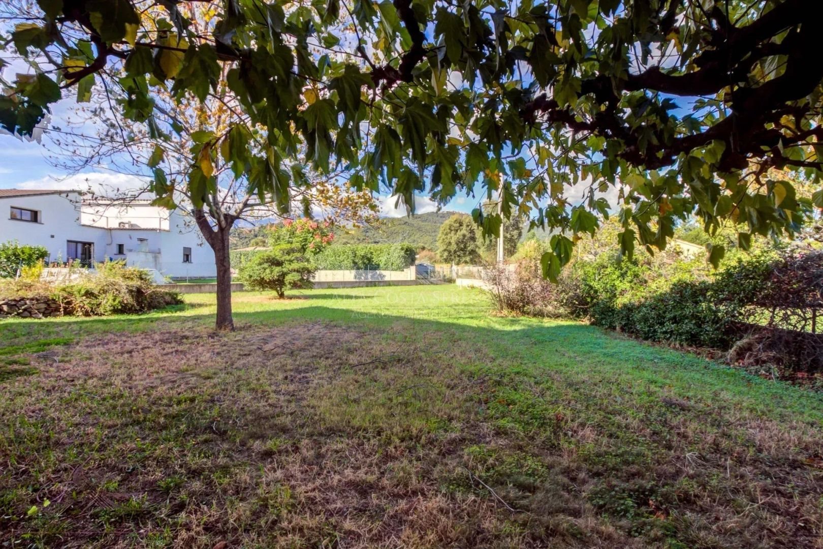 Maison à vendre, 210m², Prunelli-di-Fiumorbo
