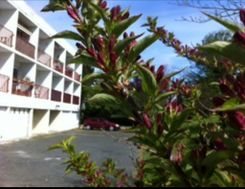 Appartement à louer, 85m², La Rochelle