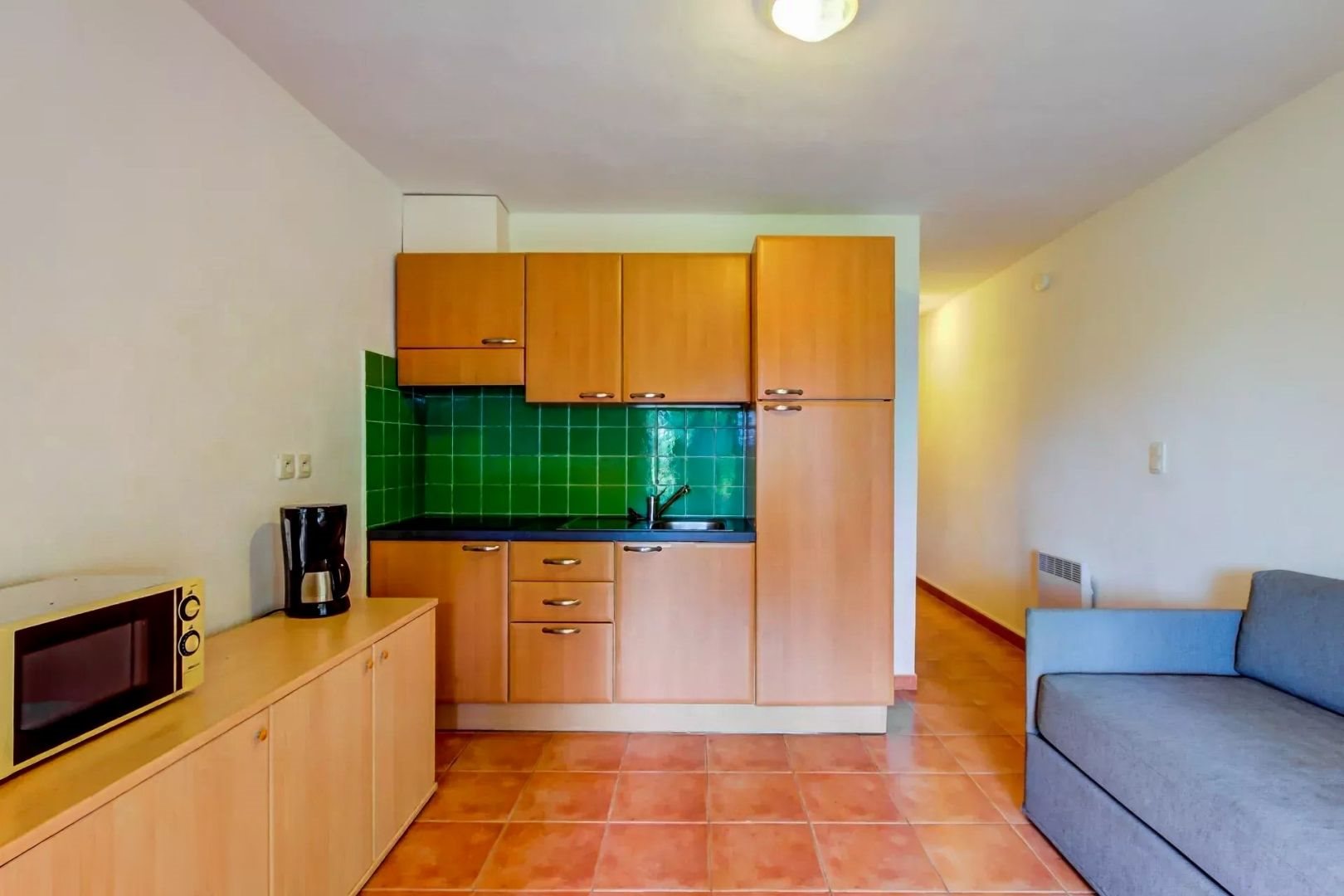 Appartement à vendre, 26m², Linguizzetta