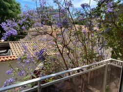 Appartement à louer, 31m², Toulon