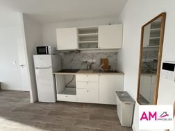 Appartement à louer, 38m², Mulhouse