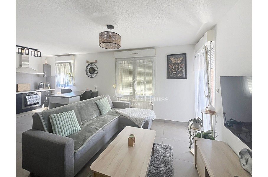Appartement à louer, 44m², Lutterbach