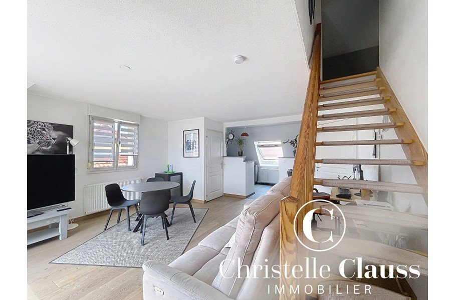 Appartement à louer, 62m², Erstein
