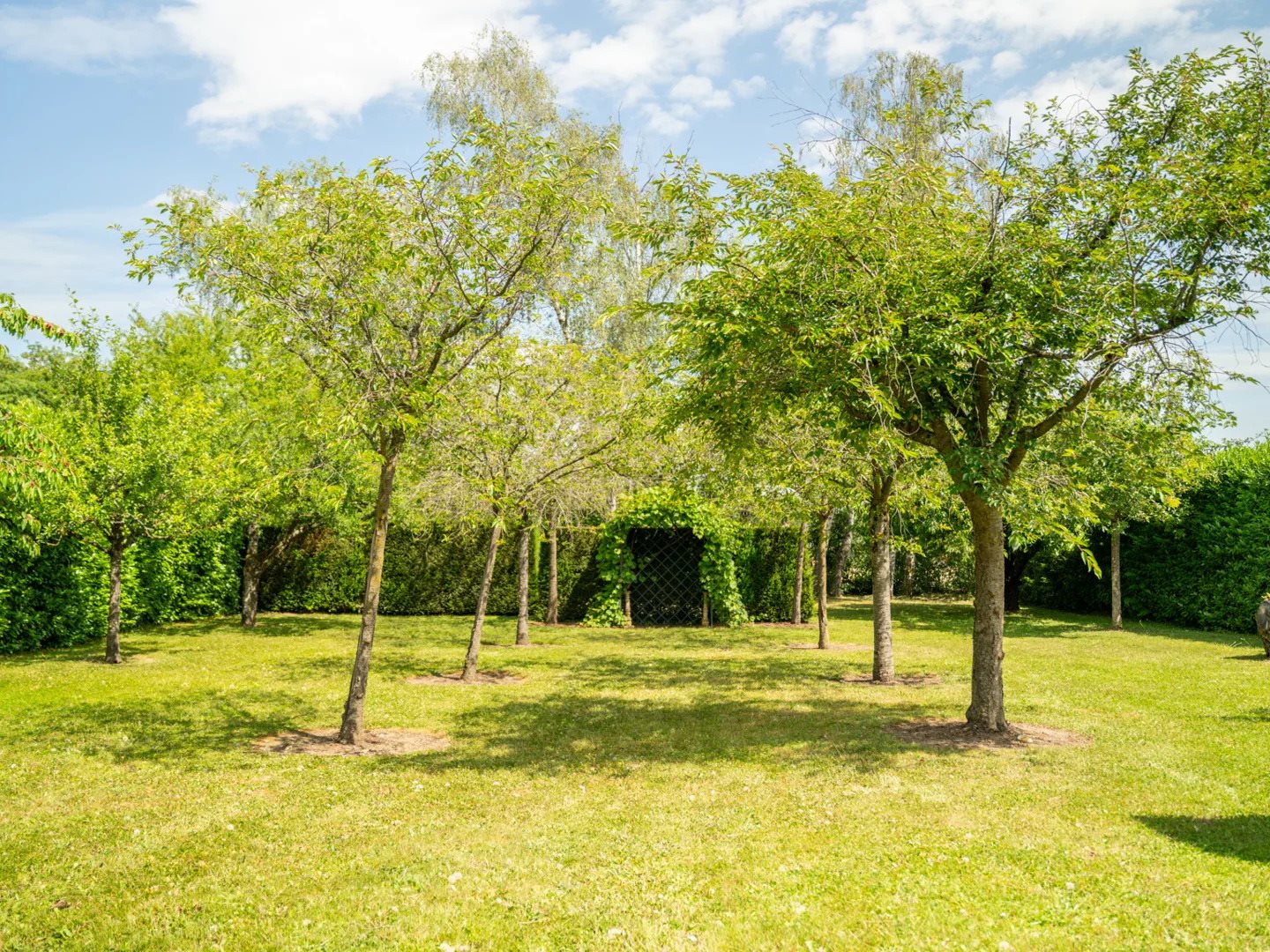 Maison à vendre, 540m², Boersch