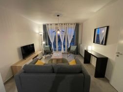 Appartement à louer, 40m², Le Blanc-Mesnil