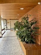 Appartement à louer, 14m², Chevilly-Larue