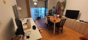 Appartement à louer, 47m², Tours
