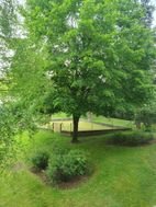Appartement à louer, 59m², Châtillon