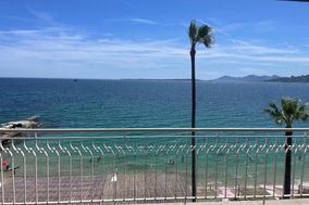 Appartement à louer, 35m², Antibes