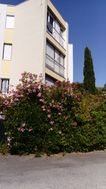 Appartement à louer, 13m², Montpellier
