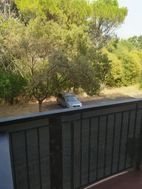 Appartement à louer, 41m², Montpellier