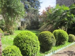 Appartement à louer, 26m², Tarbes