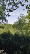 Maison à louer, 18m², Saint-Hilaire-du-Harcouët