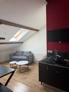 Appartement à louer, 40m², Lyon 8ème