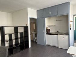 Appartement à louer, 25m², Saint-Etienne
