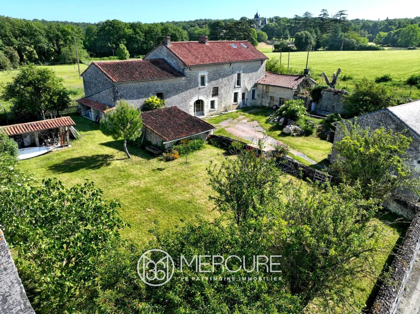 Maison à vendre, 480m², Chinon