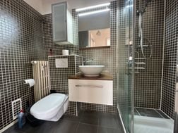 Appartement à louer, 39m², Strasbourg