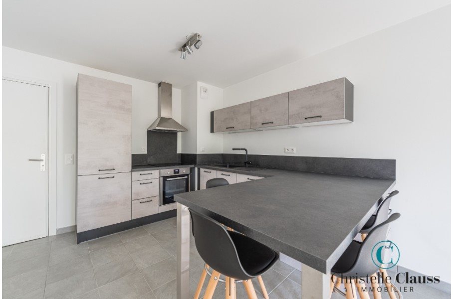Appartement à louer, 38m², Schiltigheim
