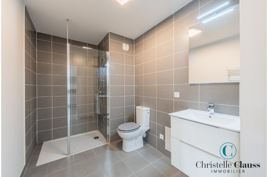 Appartement à louer, 38m², Schiltigheim