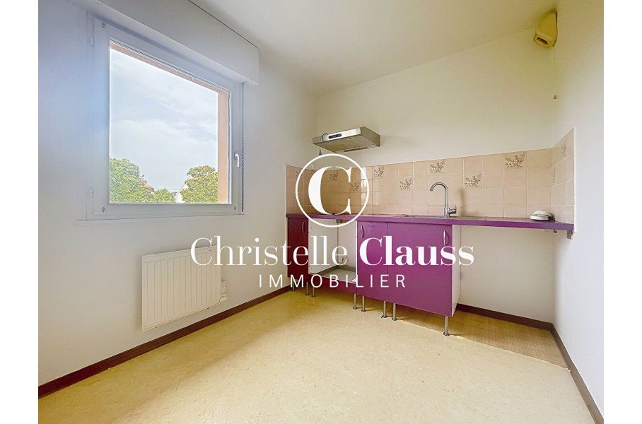 Appartement à louer, 100m², Strasbourg